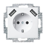Busch Jaeger Bj 20 Eucb2usb-914 Schuko- 2x Usb-Steckdose
