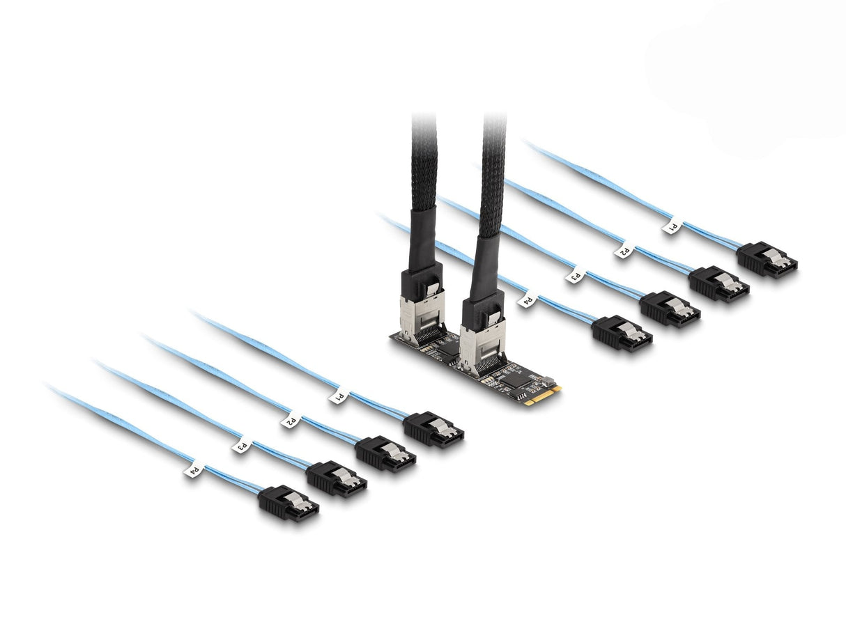 Delock Convertidor M.2 2280 Key B+M Macho A 8 X Sata