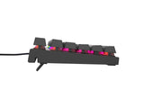 EAN 5901969432954 - GENESIS Thor 303 TKL teclado Juego USB QWERTY Internacional de EE.UU. Negro imagen 5