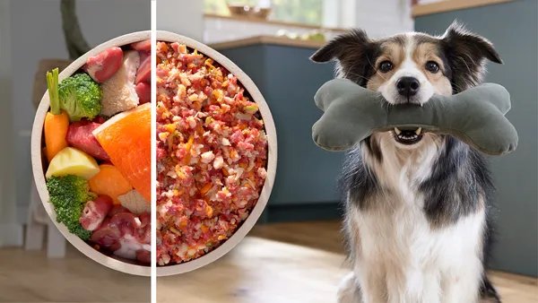 EAN 4242005455836 - Bosch Serie 6 MFWS650B picadora 500 W Negro, Plata imagen 16