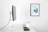 Newstar Soporte De Escritorio Para Monitor