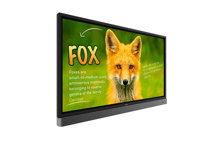 *Benq Rp653k