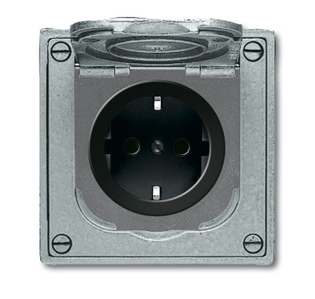 EAN 4011395107614 - Busch-Jaeger 2011-0-3871 toma de corriente CEE 7/3 Negro, Gris imagen 1