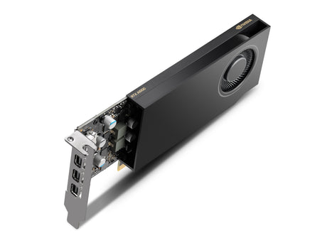 EAN 3536403399481 - PNY RTX A1000 NVIDIA 8 GB GDDR6 imagen 1