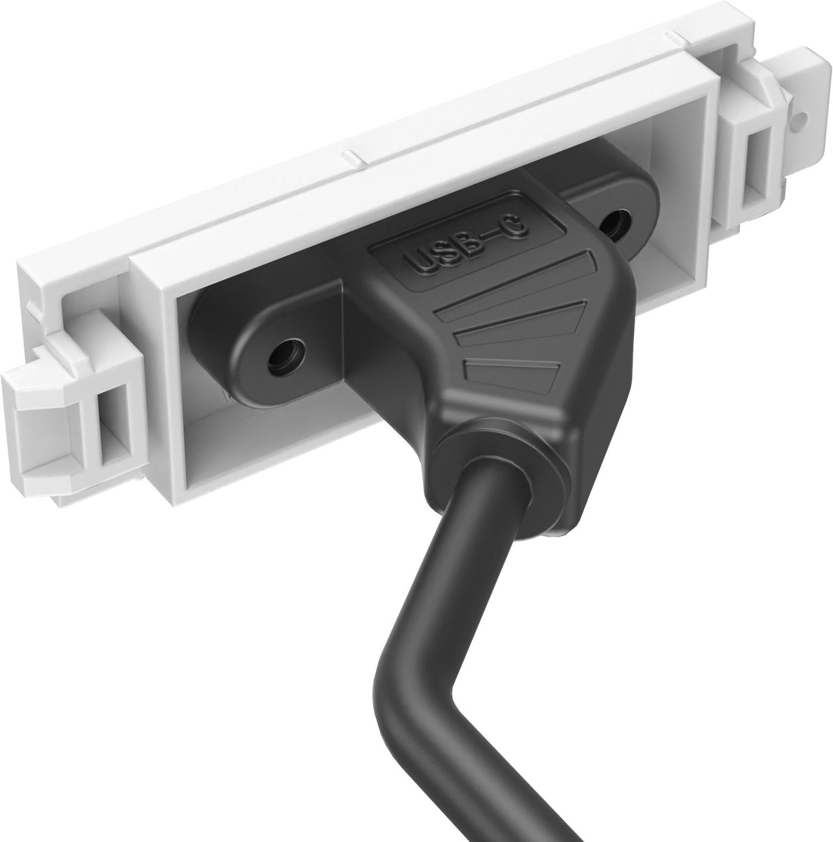 Placa Frontal Audiovisual Modular De La Gama Techconnect De Vision  Garantía Durante Toda La Vida Útil Del Producto  Módulo Usb-C  Toma 3.1 Tipo "C" En La Parte Frontal  Con Un Cable Provisto De Dos Tomas En Su Extremo 1 Para Hdmi Y 1 Para