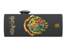 Emtec Usb-Mick 16 Gb M730 Usb 2.0 Harry Potter Hogwarts