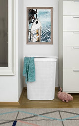 Rotho Brisen - Cesto De La Ropa - 50l