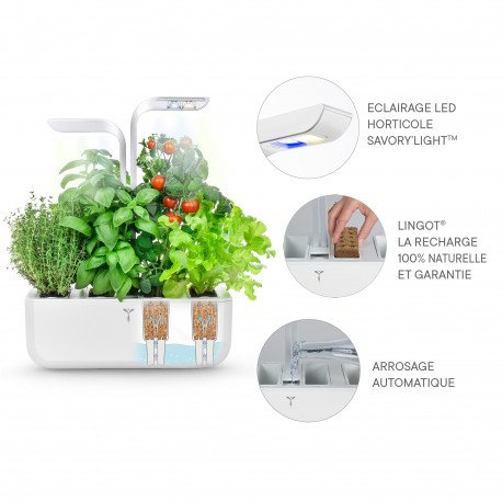 Véritable Classic Selbstversorgender Indoor-Garten