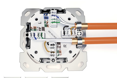 EAN 4016032485735 - Digitus DN-9010/8-2 toma de corriente 2 x RJ-45 Blanco imagen 5