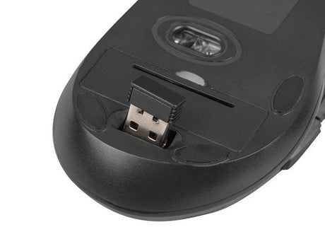 EAN 5901969420173 - NATEC Stingray teclado Ratón incluido Universal RF inalámbrico QWERTY Inglés de EE. UU. Negro imagen 9