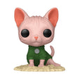 EAN 0889698883290 - FUNKO POP! Sphynx imagen 1