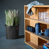 EAN 4012013734762 - Reisenthel homebasket M Canasta imagen 2