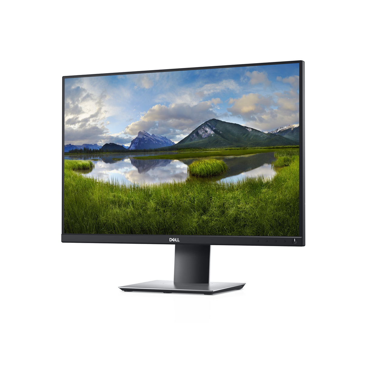 Monitor Dell P2421  24" Ips Led Wuxga (1920x1200) /16:10/Hdmi/Dvi/Vga/Dp/5xusb 2.0/3y Ppg