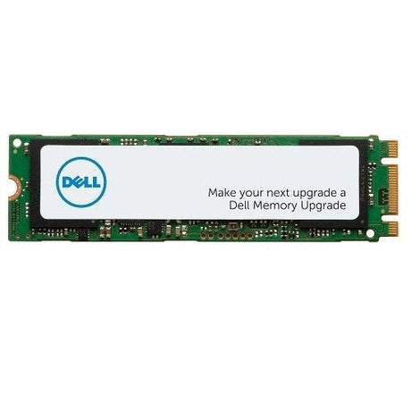 EAN 5397184259566 - DELL AA615519 unidad de estado sólido 256 GB M.2 PCI Express NVMe imagen 1