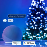 Twinkly Strings Cuerda De Luces 250 Rgb+W, Cable Transparente, Enchufe Tipo F