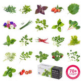 Véritable Classic Selbstversorgender Indoor-Garten