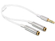 EAN 4043619653553 - DeLOCK 65355 cable de audio 0,25 m 3,5mm 2 x 3.5mm Plata, Blanco imagen 1