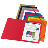 Herlitz 11166816 Carpeta Cartón Colores Surtidos A4