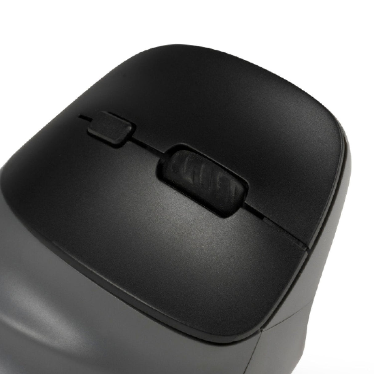 Raton Bakkerelkhuizen Prf Pro 3 Vertical Diestro