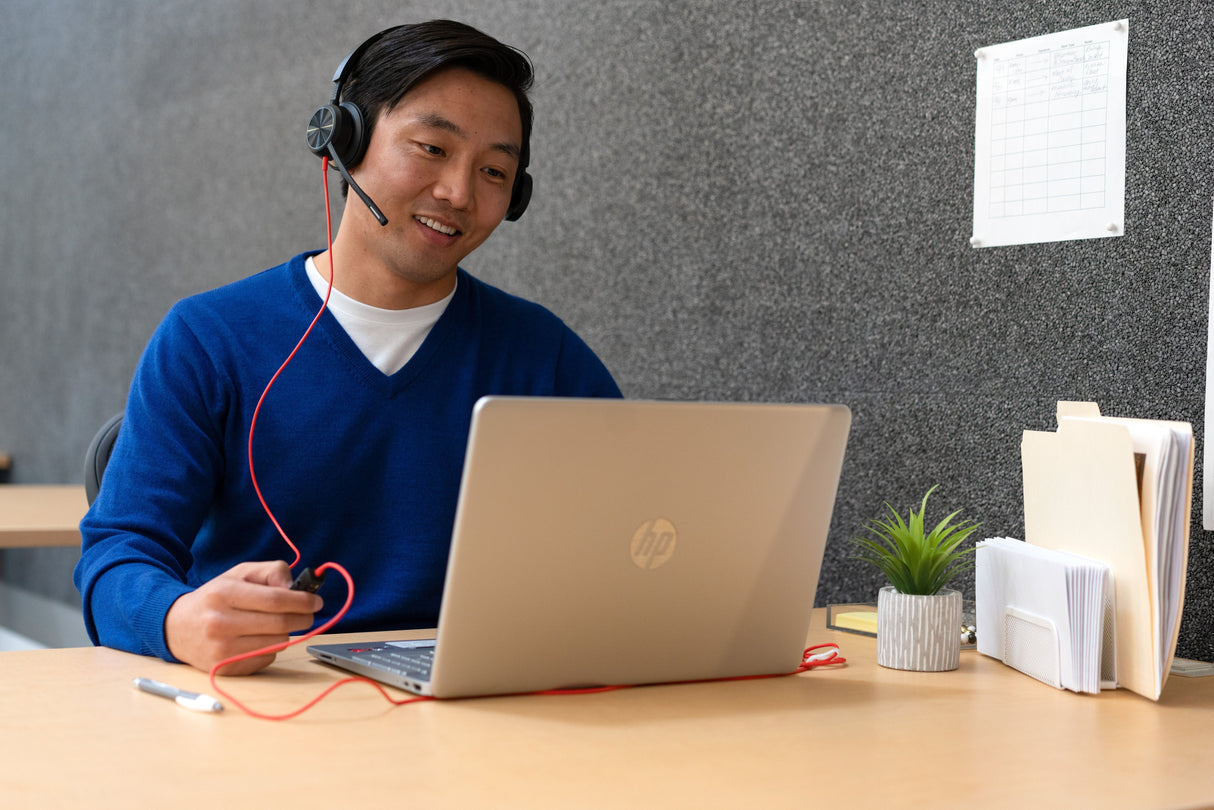 EAN 0197498429267 - HP Poly Blackwire 8225 Stereo Microsoft Teams Certified USB-C Headset +USB-C/A Adapter Alámbrico Diadema  imagen 9