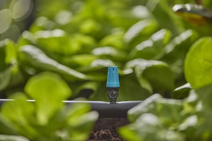 Boquilla Final Micro-Drip-System Gardena , 10 Piezas (Negro/Turquesa, Modelo 2023) 13306-20