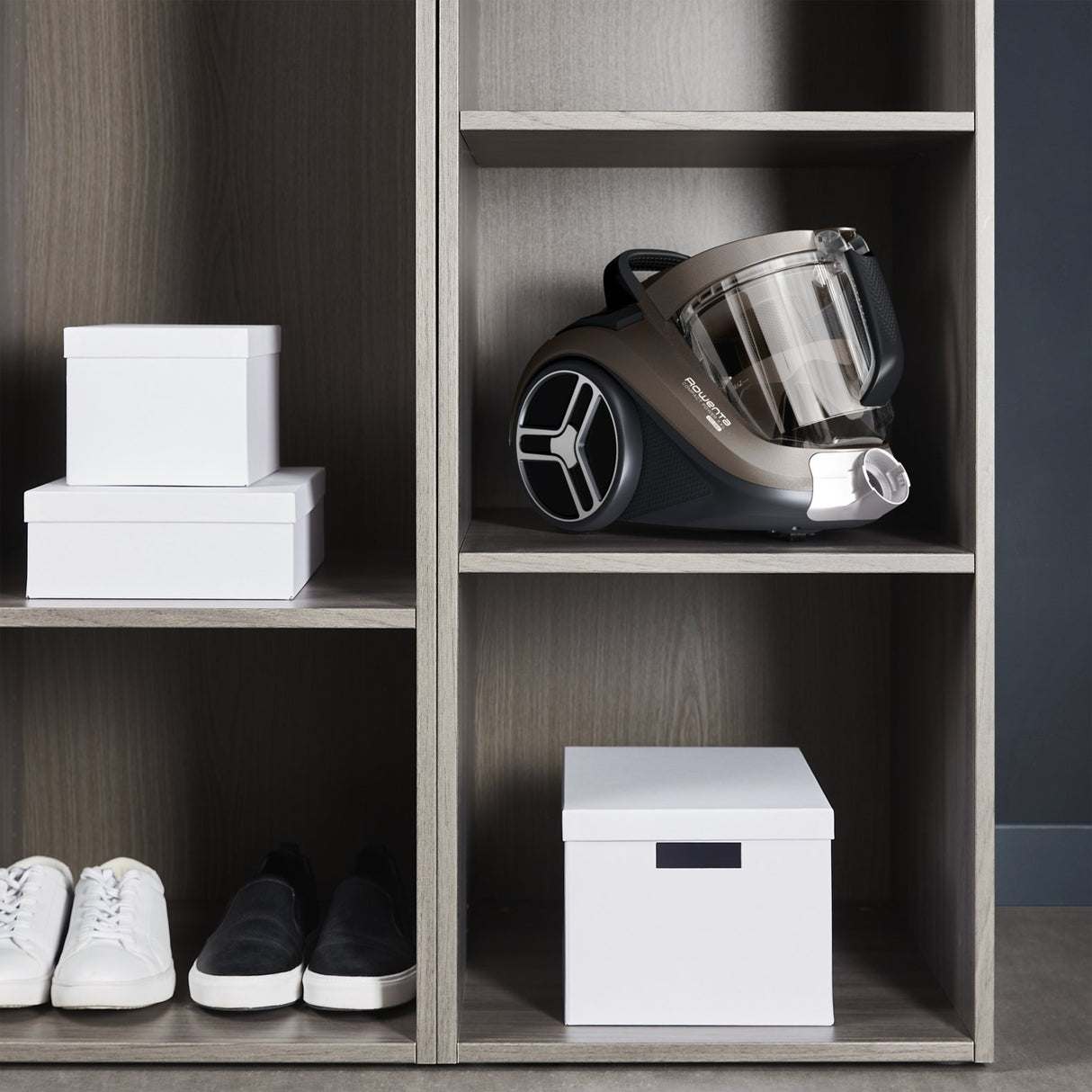 EAN 3221616093102 - Rowenta Compact Power XXL RO4B30 2,5 L Aspiradora cilíndrica Secar 900 W Sin bolsa imagen 7