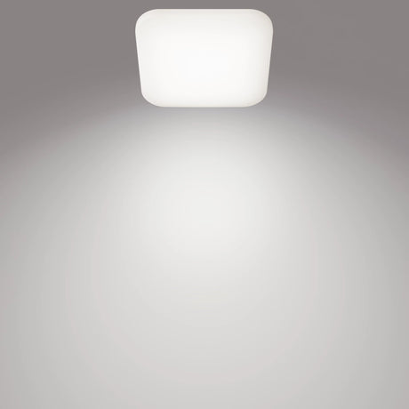 EAN 8720169195479 - Philips Funcional 8720169195479 iluminación de techo LED imagen 2