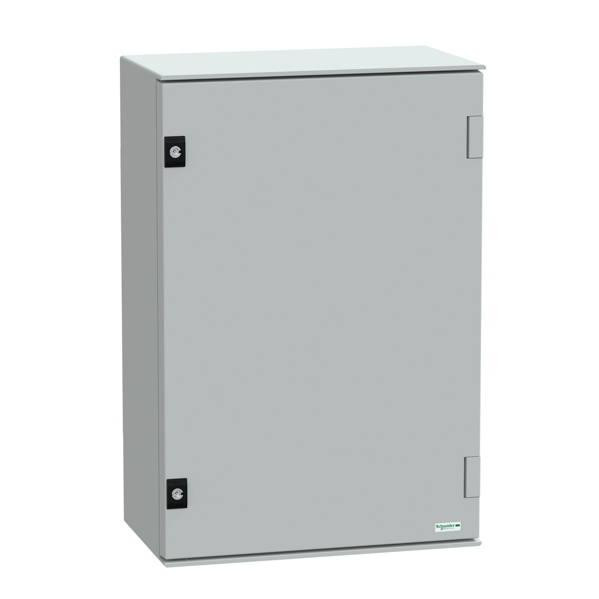 Schneider Electric Nsyplm64g - Carcasa De Poliéster H 647 X B 436 T 250 Mm