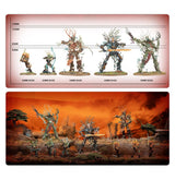 Warhammer Aos - Battleforce Sylvaneth Sylve De Fortesouche