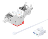 Intellinet Cat6a 10g Mp Keymone-Modul Rot