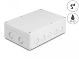 Delock Carcasa De Instalación Con Entradas De Cable 180 X 125 X 57 Mm Gris