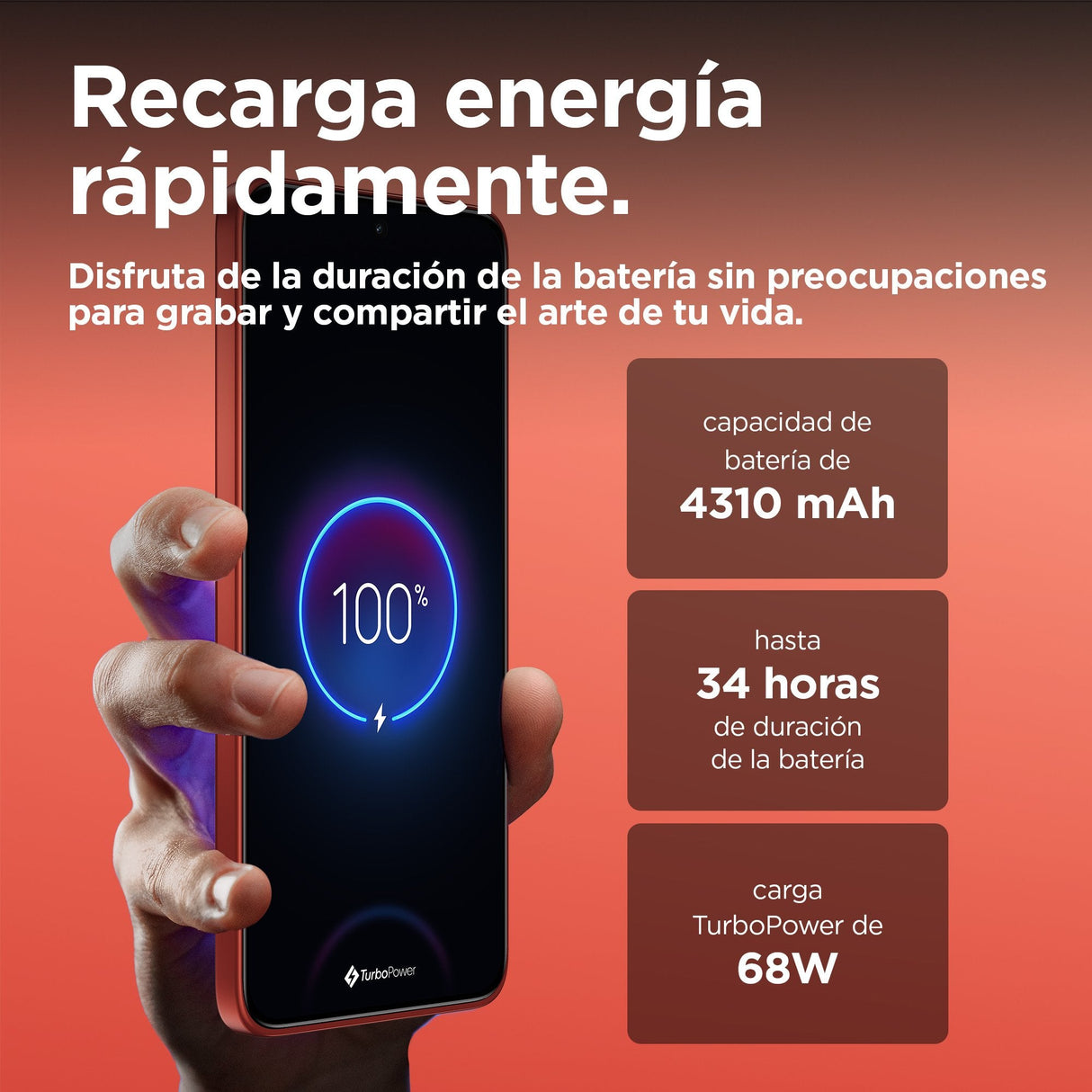 EAN 840023278433 - Motorola edge 50 Neo 16,1 cm (6.36") SIM doble Android 14 5G USB Tipo C 8 GB 256 GB 4310 mAh Rojo imagen 8