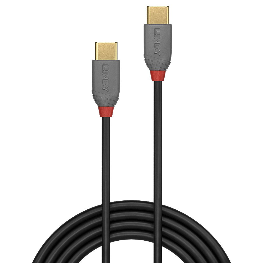 Cable  Lindy Usb 2.0 Typ C C Anthra Line M M 0.5m