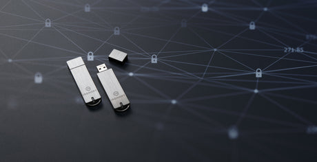 EAN 0740617255256 - Kingston Technology IronKey S1000 unidad flash USB USB tipo A 3.2 Gen 1 (3.1 Gen 1) Plata imagen 10