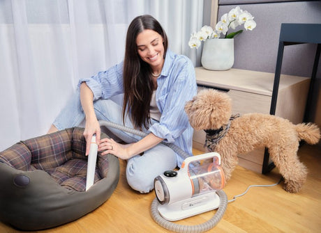 EAN 8590393366453 - Eta PetMaster Gato / Perro Aspiradora + cortadora de pelo imagen 16