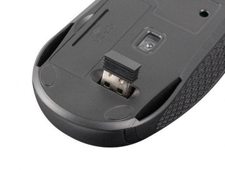 EAN 5901969437300 - NATEC SQUID teclado Ratón incluido Hogar / Oficina USB QWERTY Internacional de EE.UU. Negro imagen 7