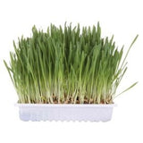 Trixie Cat Grass 100g Bolsa 4236