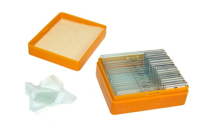 Levenhuk N20 Ng Vidrio Portaobjetos De Microscopio