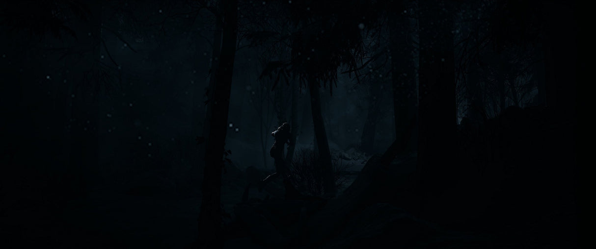 EAN 0711719587446 - Sony Until Dawn Estándar Plurilingüe PlayStation 5 imagen 5