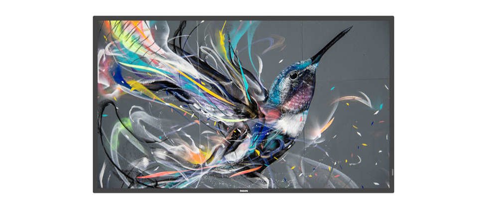 EAN 0685417580286 - Philips Signage Solutions Q-Line Pantalla plana para señalización digital 165,1 cm (65") IPS 400 cd / m²  imagen 1