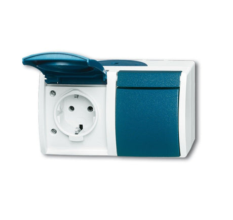 EAN 4011395993316 - Busch-Jaeger 4011395993316 toma de corriente 2 x Type F Azul, Blanco imagen 1