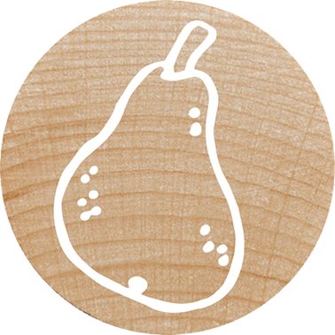 Colop Woodies Mempel-Set "Mix" Retail