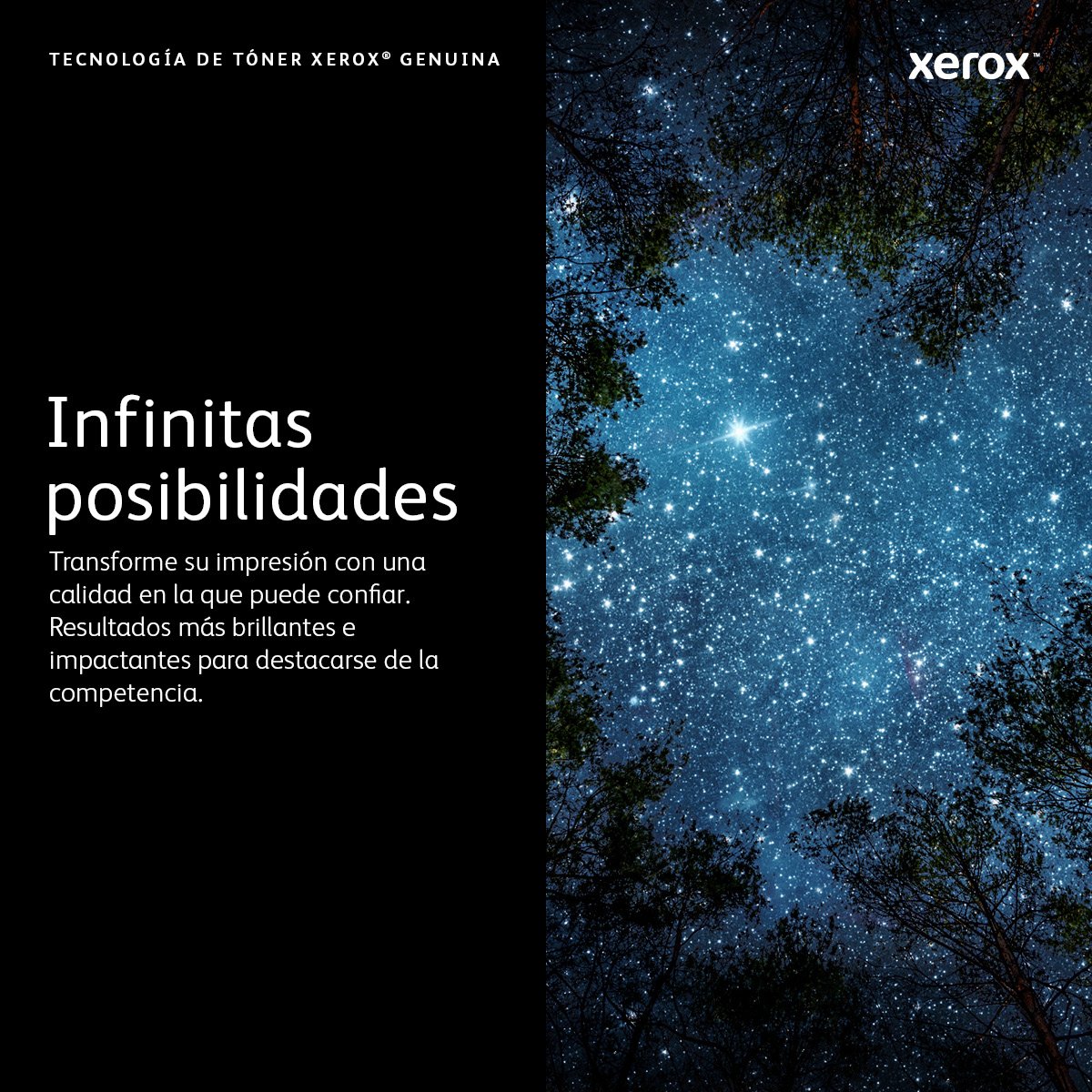 Xerox Tambor Magenta 108r01482  40000 Copias