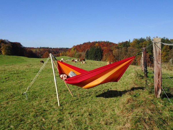 Amazonas Madera, Estructura De Madera Az-4030100