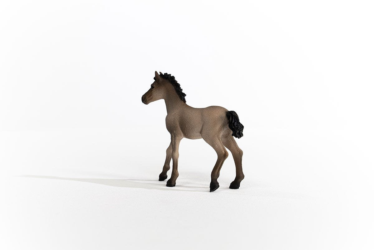 Schleich Horse Club     13949 Criollo Definitivo Fohlen