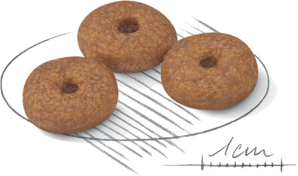 Pienso Royal Canin Mini Aging 12+ Adultos (3,50 Kg )