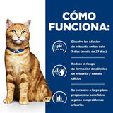 EAN 52742042213 - Hills 605889 comida húmeda para gatos 8 kg imagen 4