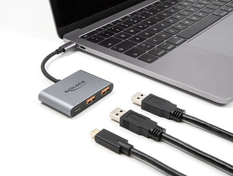EAN 4043619643370 - DeLOCK 64337 hub de interfaz USB 3.2 Gen 2 (3.1 Gen 2) Type-C 10000 Mbit/s Gris imagen 2