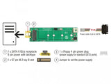 Delock 63917 Convertidor Sata 8 Pines De Potencia Hembra> Ranura M.2 Key B