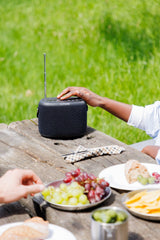 Pure Woodland Wasserdichter Outdoor-Altavoz Con Fm Dab+ Radio, Negro